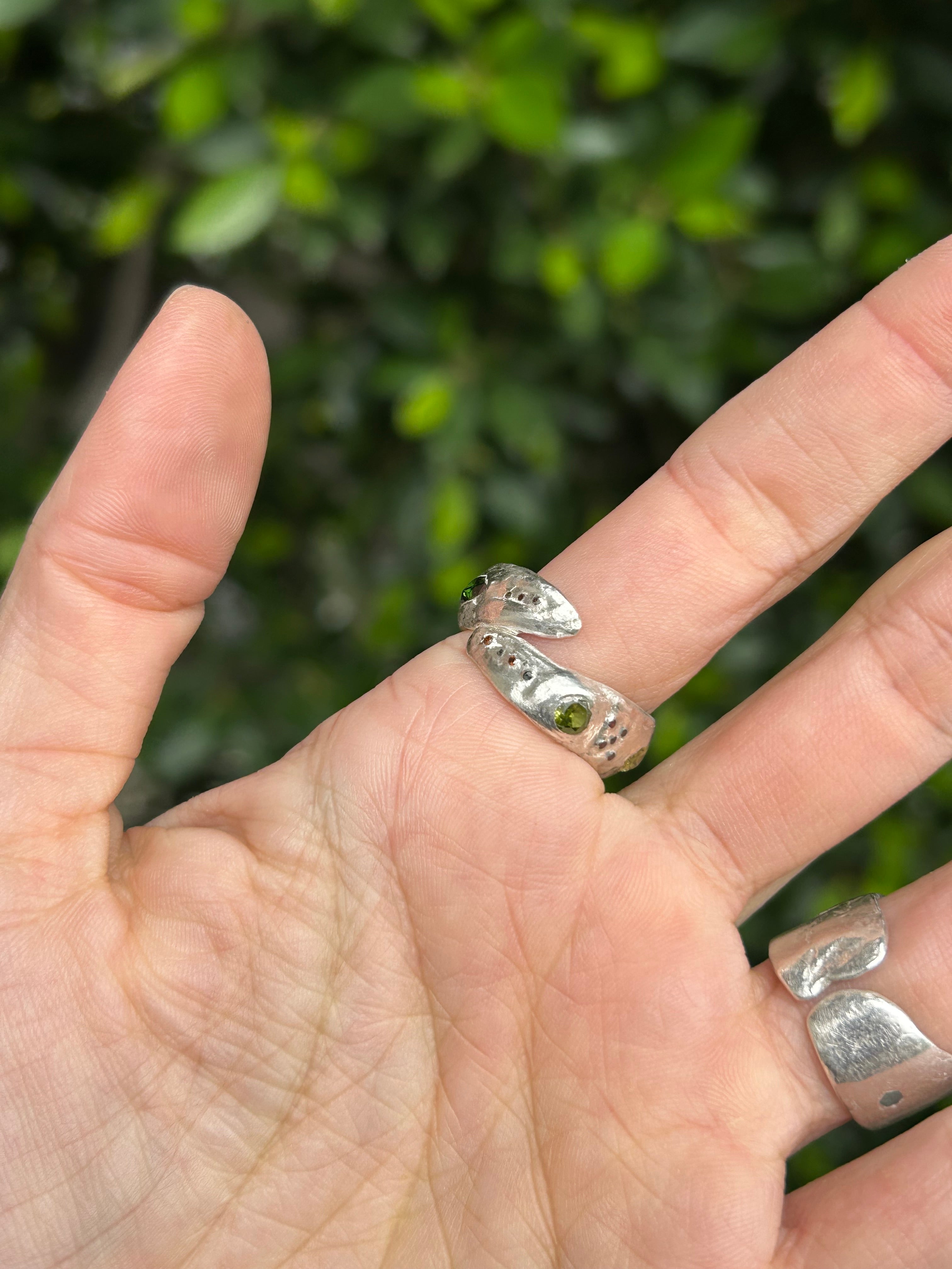 Anguila